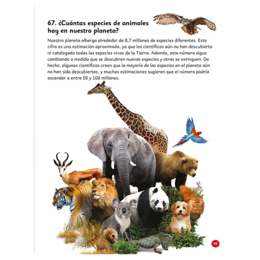 365 Preguntas y Respuestas sobre Ciencia y Tecnología