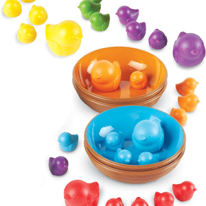 Juego de Clasificación de Pájaros en un Nido