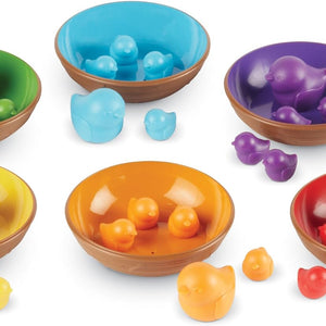 Juego de Clasificación de Pájaros en un Nido