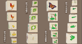 Bloques de Madera Apilables – Ciclo de Vida de los Animales