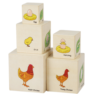Bloques de Madera Apilables – Ciclo de Vida de los Animales