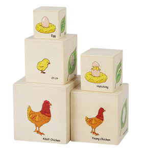 Bloques de Madera Apilables – Ciclo de Vida de los Animales
