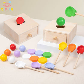 Color Busy Sorting Box Montessori