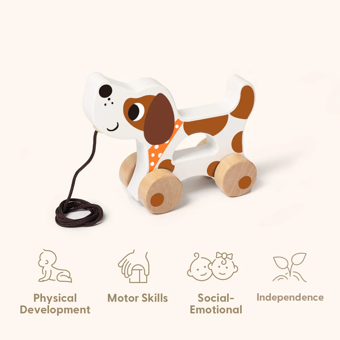 Educational Box 19-24 Meses – 25 Piezas