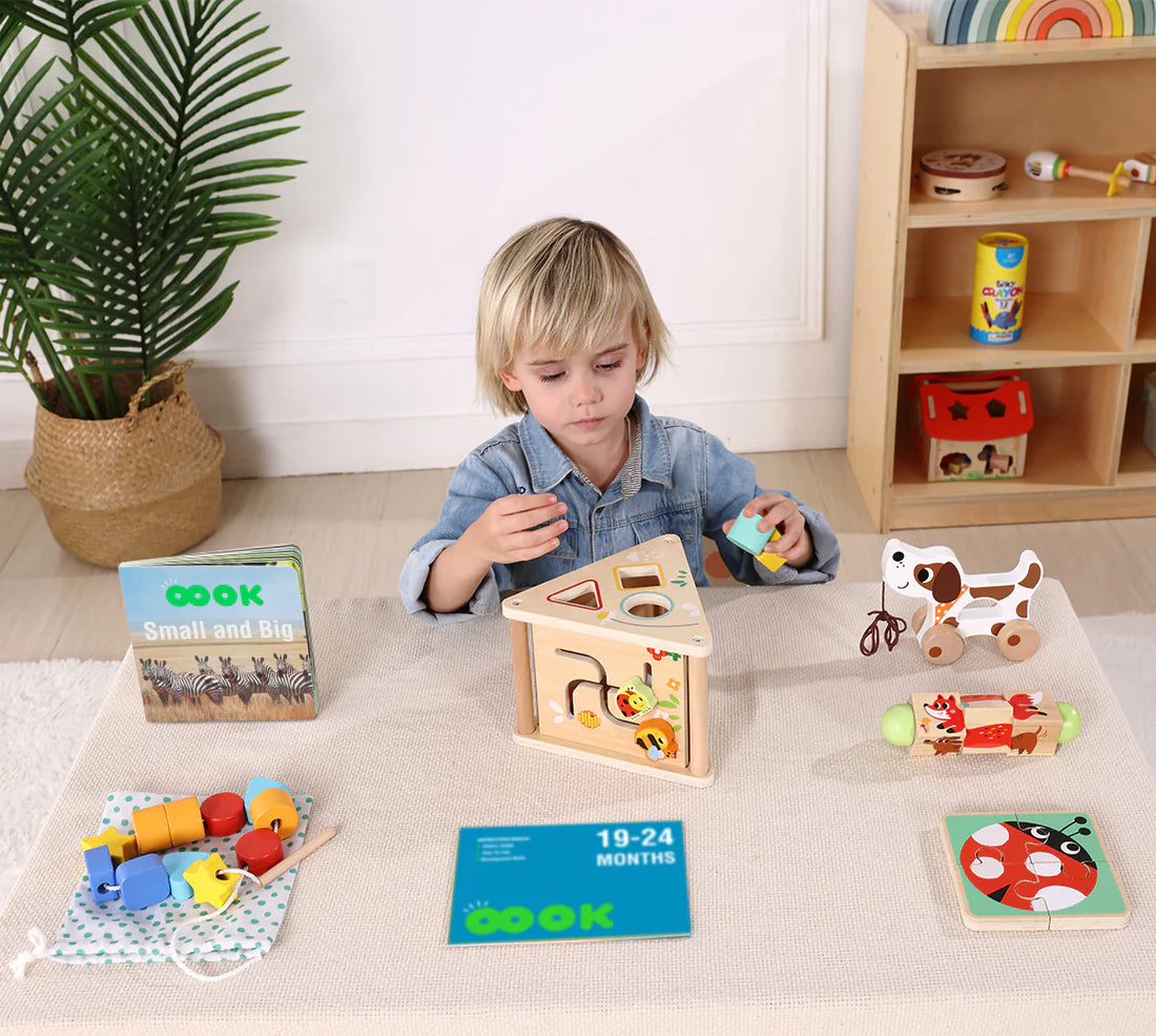 Educational Box 19-24 Meses – 25 Piezas