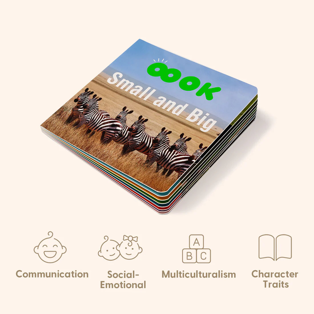 Educational Box 19-24 Meses – 25 Piezas