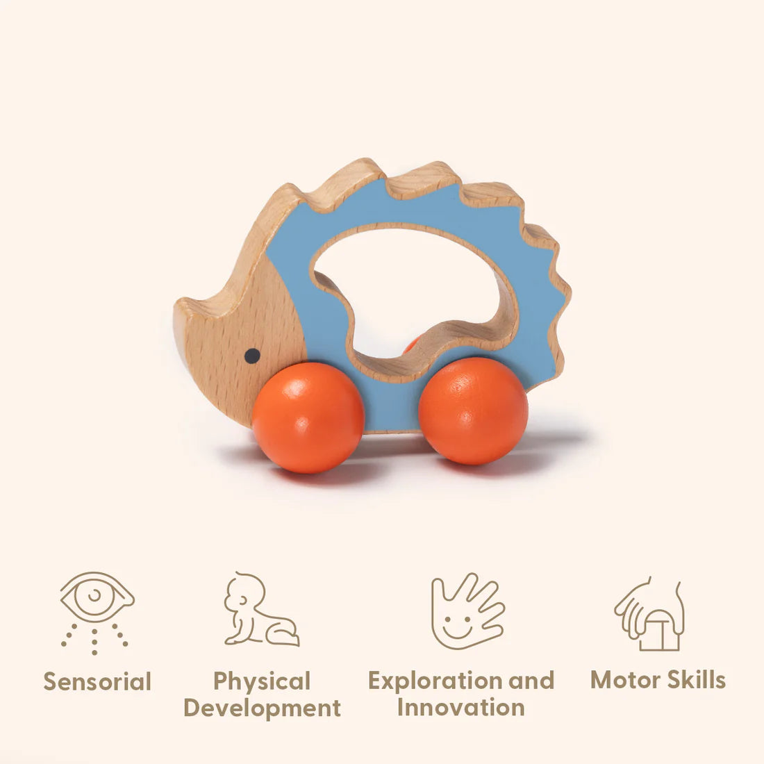 Educational Box 7-12 Meses - 22 Piezas