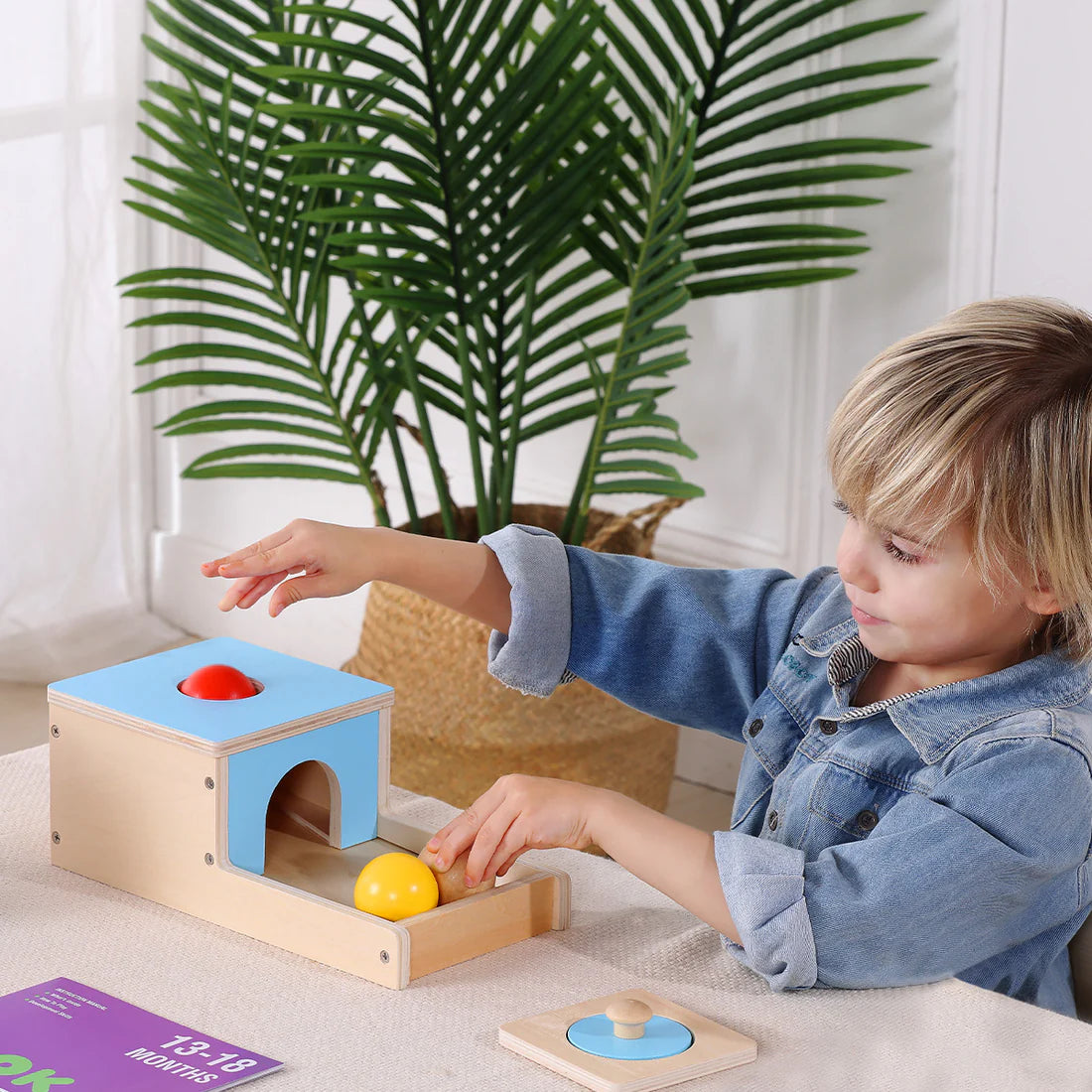 Educational Box 7-12 Meses - 22 Piezas