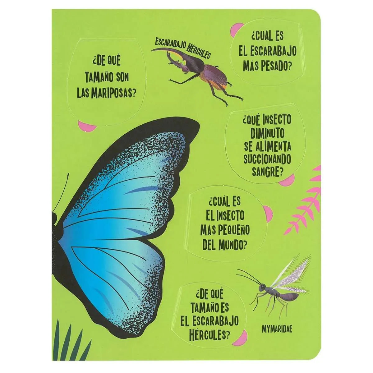 Insectos - Busca y Encuentra