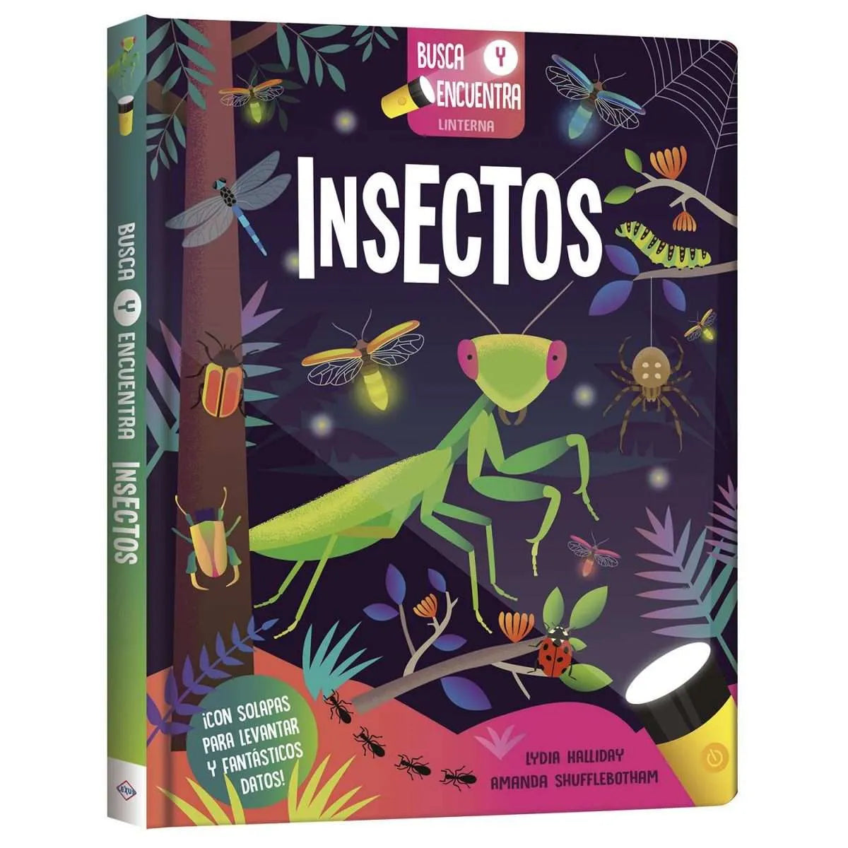Insectos - Busca y Encuentra
