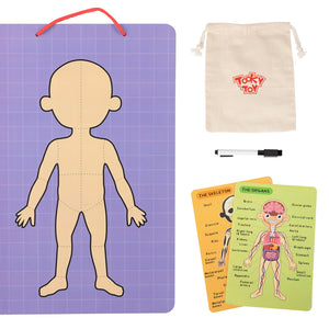 Magnetic Body Chart – Aprende el cuerpo humano jugando