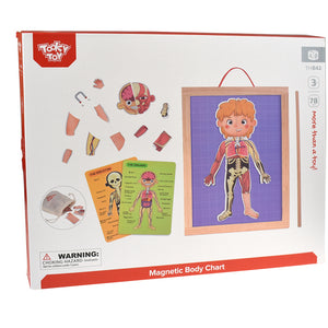 Magnetic Body Chart – Aprende el cuerpo humano jugando