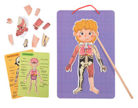 Magnetic Body Chart – Aprende el cuerpo humano jugando