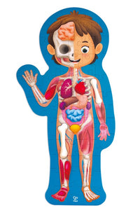 Rompecabezas del Cuerpo Humano