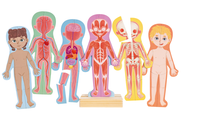 Rompecabezas Magnético de Madera del Cuerpo Humano