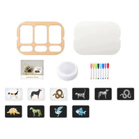 Set Educativo de Clasificación con Luz para Mesa Sensorial